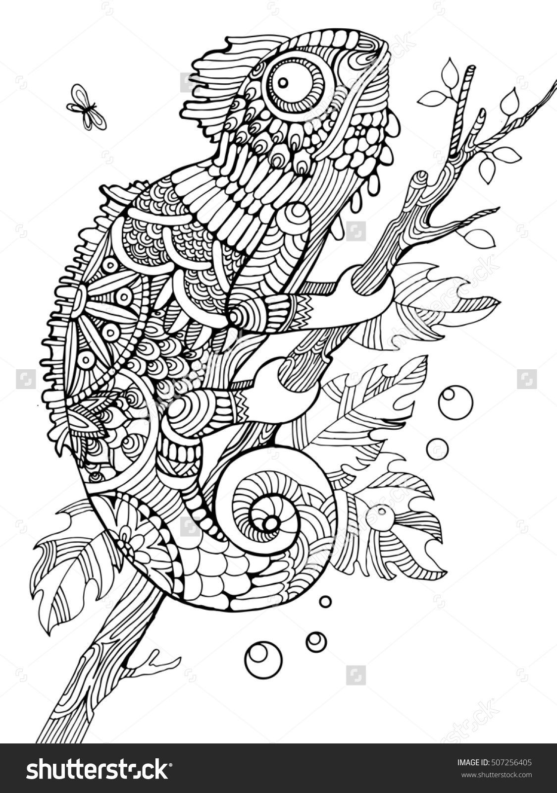 Adult Coloring Book Images
 Chameleon coloring page for adults zentangle style