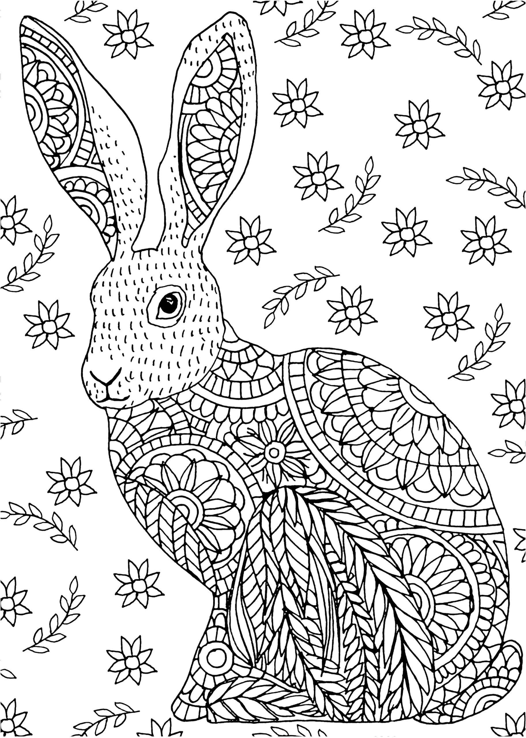 Amazon Adults Coloring Book
 Amazon Woodland Friends Portable Adult Coloring Book