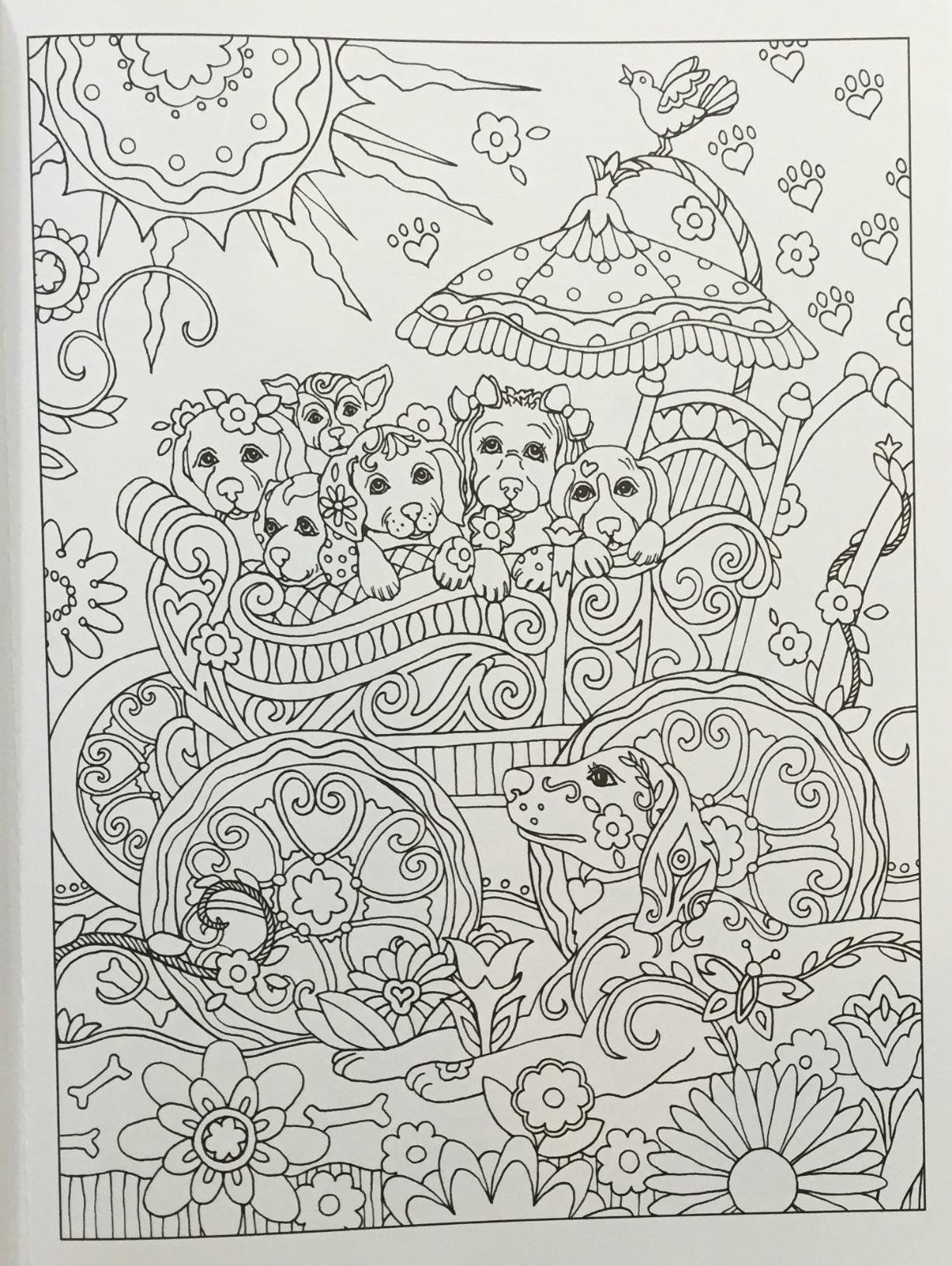 Amazon Adults Coloring Book
 Amazon Prime Now Creative Haven Dazzling Dogs Coloring