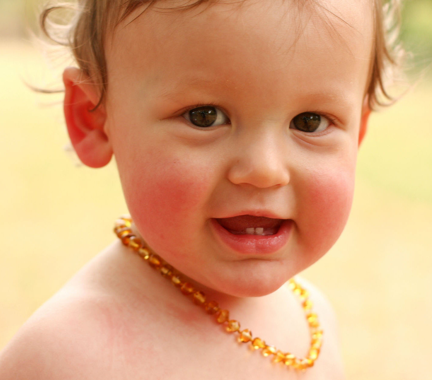 Amber Necklaces For Babies
 Lemon Baltic Amber teething necklace for baby by