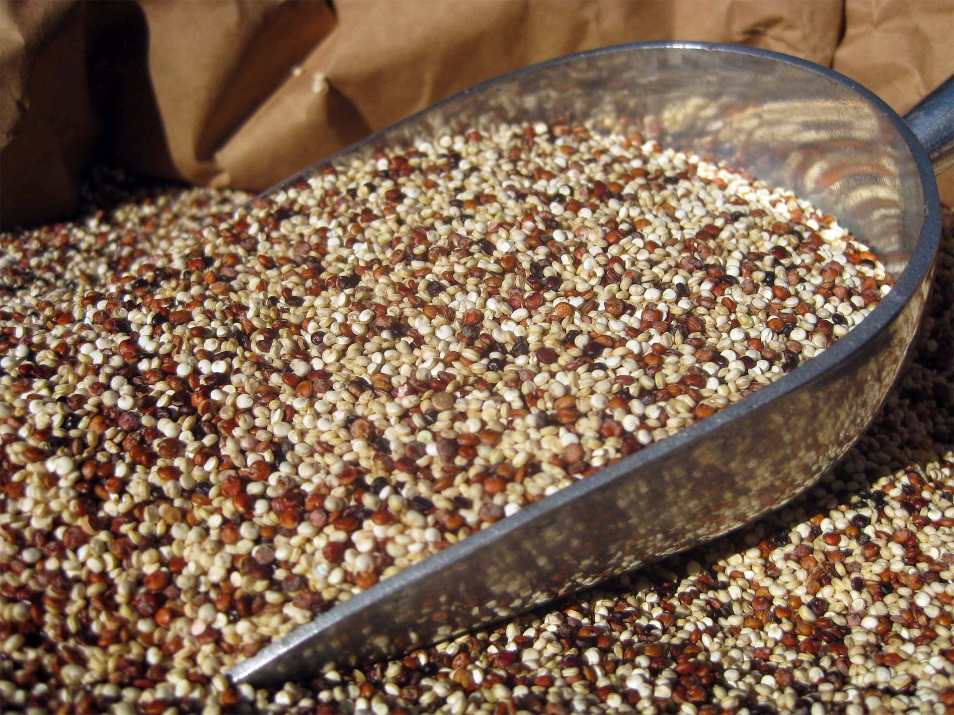 Ancient Grain Quinoa
 Rainbow Foods