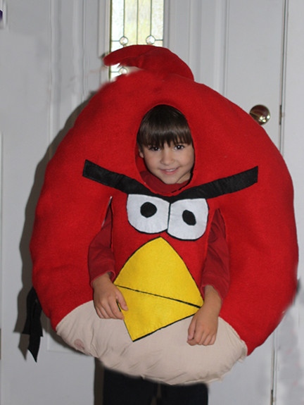 Angry Bird Costume DIY
 DIY Angry Bird Costume I made it for under $10