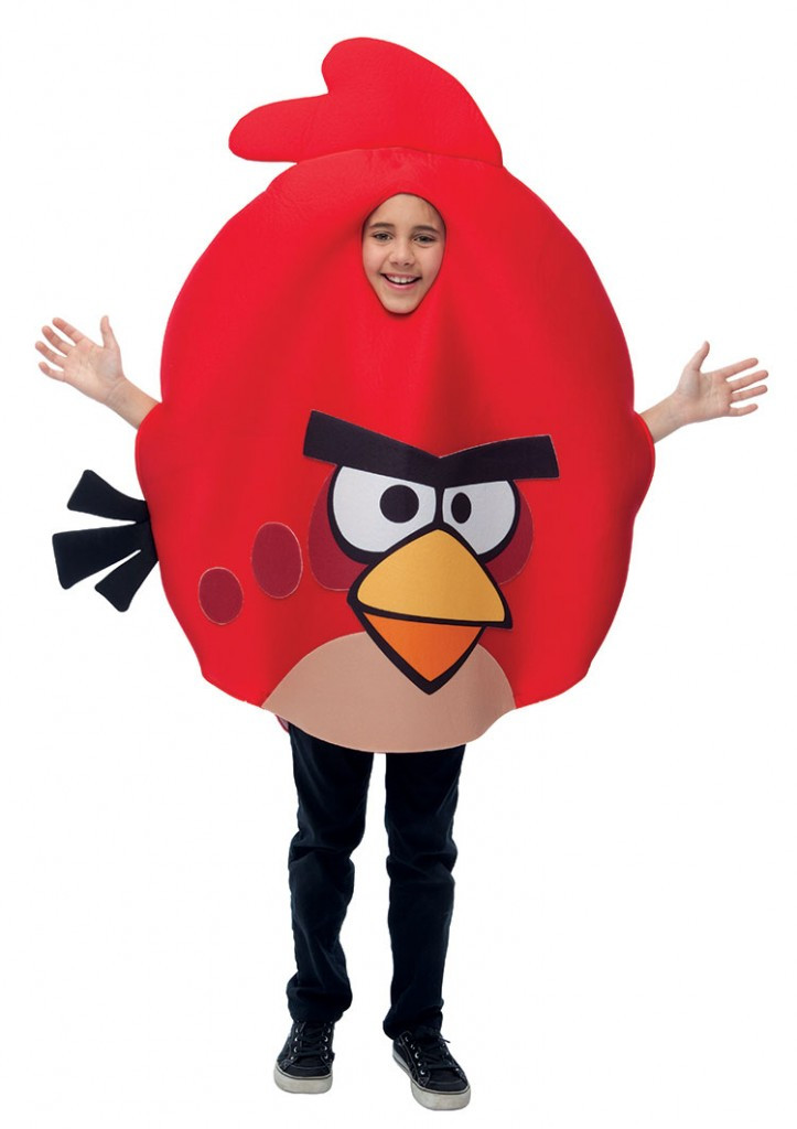 Angry Bird Costume DIY
 Bird Halloween Costumes Into The Air