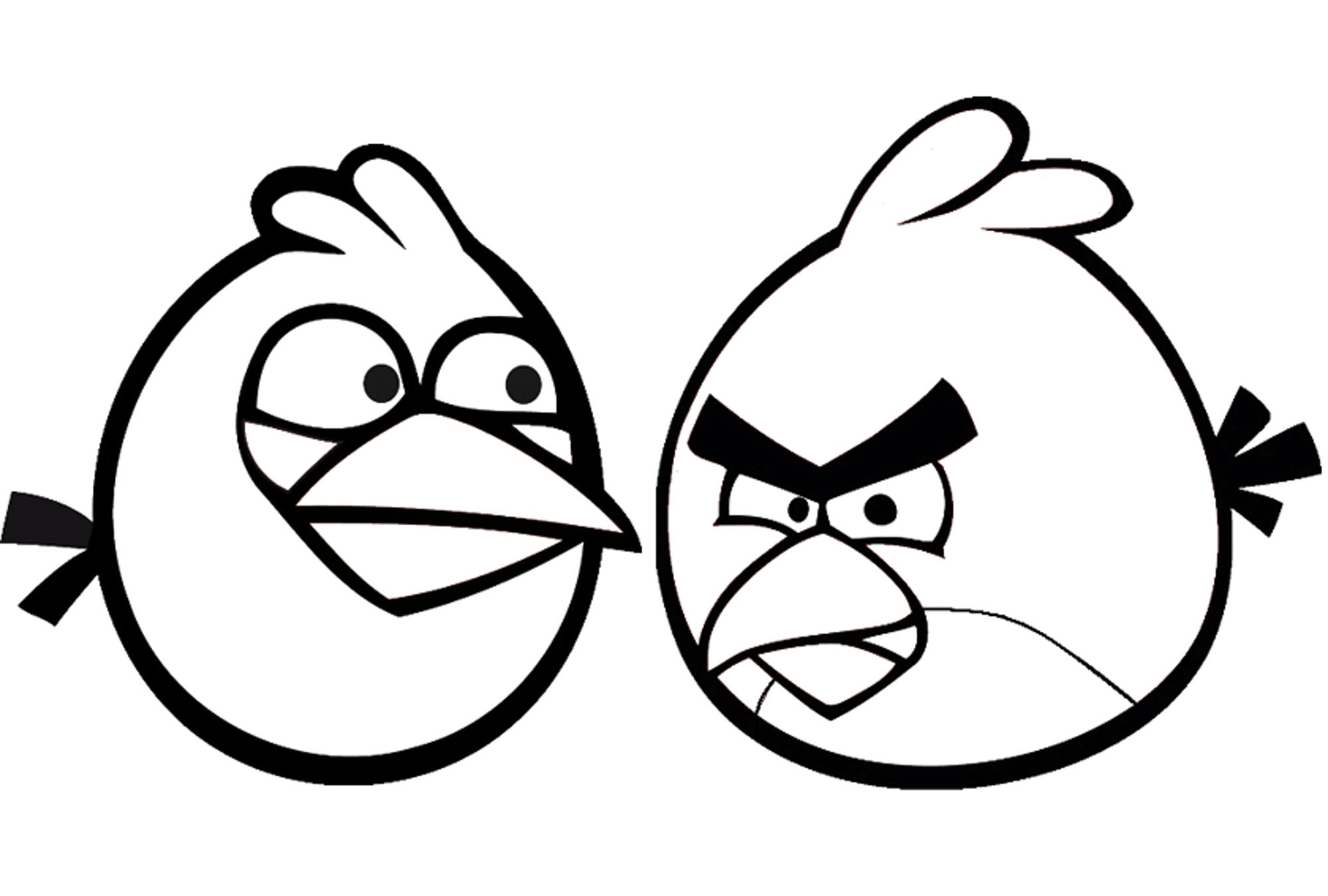 Angry Bird Printable Coloring Pages
 Angry Birds Coloring Pages for Your Small Kids