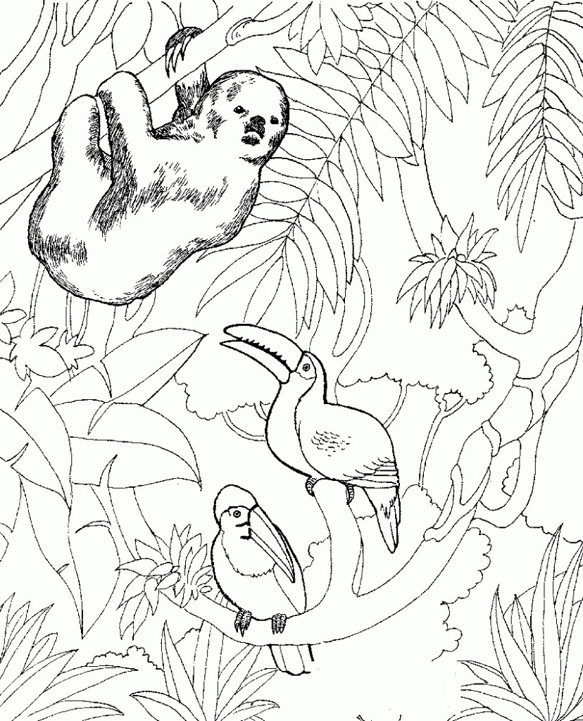 Animals Coloring Pages For Kids
 Free Printable Zoo Coloring Pages For Kids