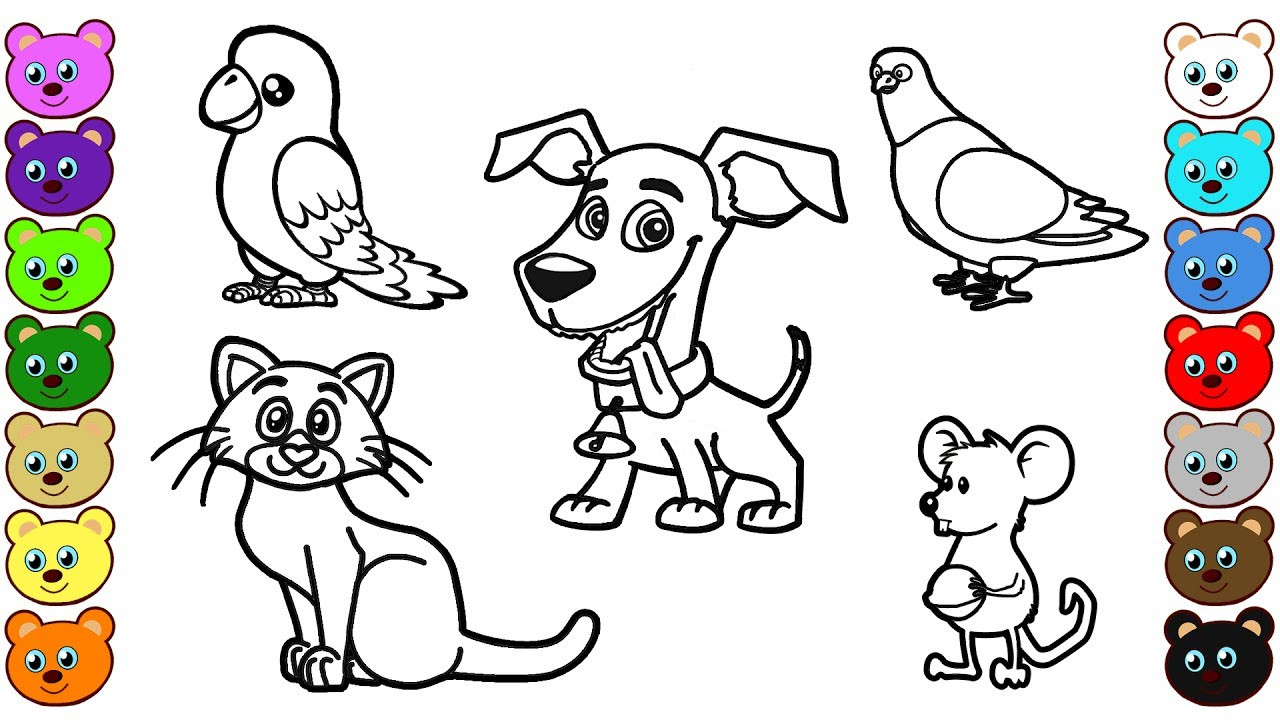 Animals Coloring Pages For Kids
 Learn Colors for Kids with Home Animals Coloring Pages
