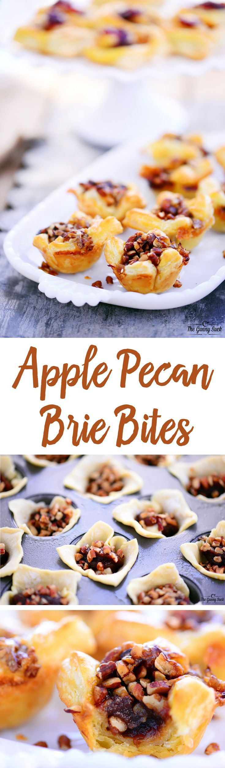 Apple Appetizer Recipes
 This yummy Apple Pecan Brie Bites recipe is an easy