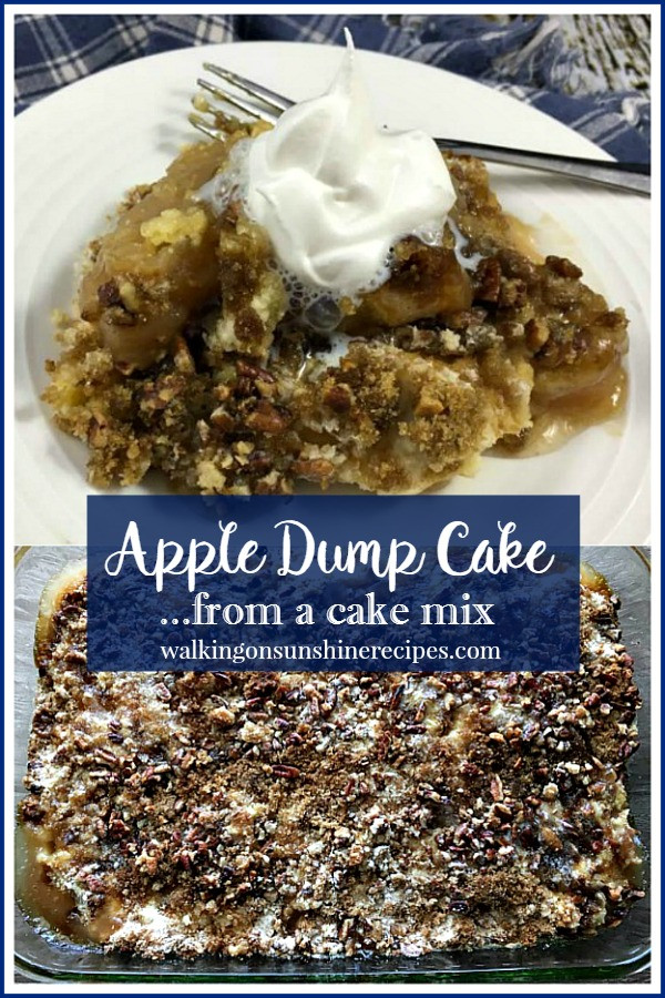 Apple Cake With Cake Mix
 Apple Dump Cake How to Make an Easy and Delicious Recipe