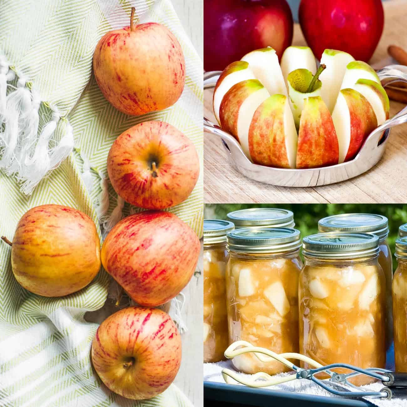 Apple Canning Recipes
 Canning Easy Apple Pie Filling Recipe for Pies Crisps and