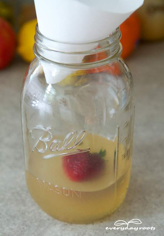 Apple Cider Vinegar Fruit Fly Trap
 5 Homemade Traps To Get Rid Fruit Flies… – Eco Snippets