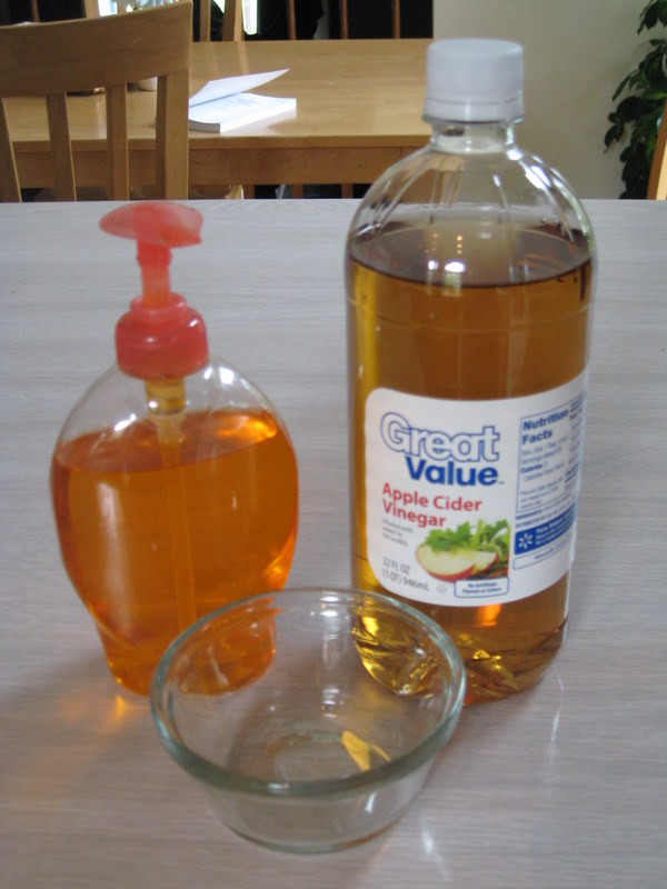 Apple Cider Vinegar Fruit Fly Trap
 Fruit Fly Trap