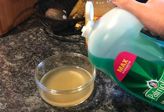 Apple Cider Vinegar Fruit Fly Trap
 3 Easy Steps to Get Rid of Fruit Flies With Apple Cider