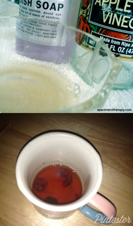 Apple Cider Vinegar Fruit Fly Trap
 Dish Soap and Apple Cider Vinegar Fruit Fly Trap