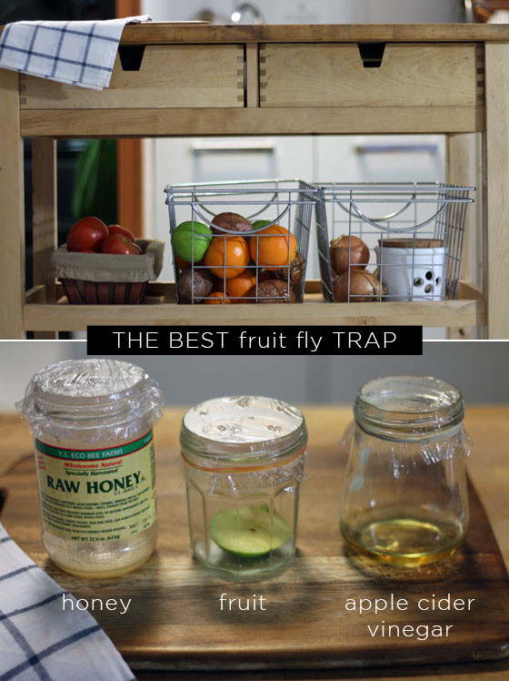 Apple Cider Vinegar Fruit Fly Trap
 How to Get Rid of Fruit Flies naturally