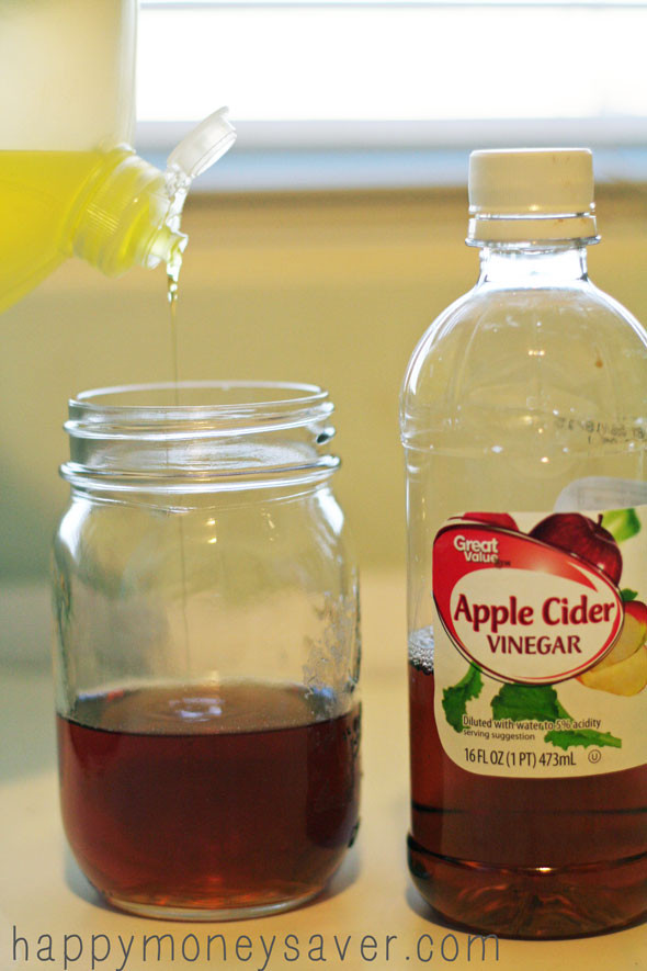 Apple Cider Vinegar Fruit Fly Trap
 The Best Fruit Fly Trap using Vinegar and Dish Soap They