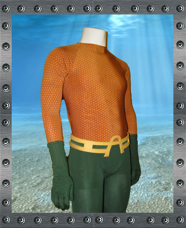 Aquaman Costume DIY
 Aquaman Costume The League of Heroes The Original