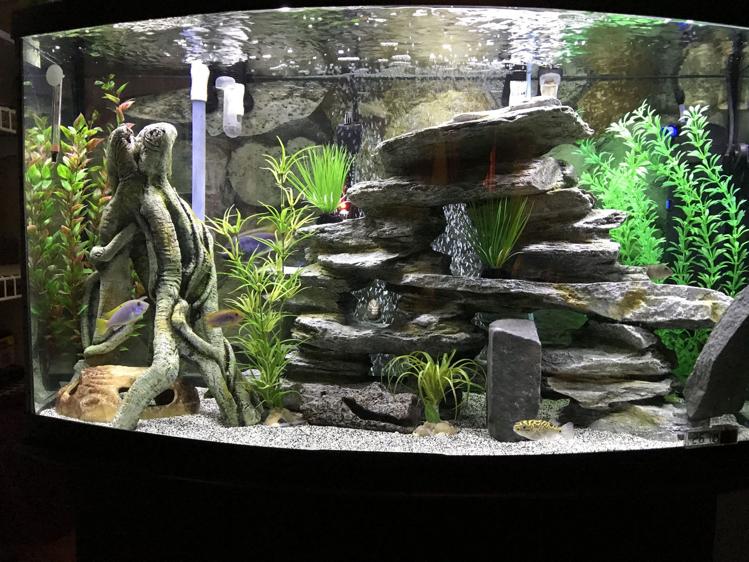 Aquarium Decoration DIY
 Pin by Christopher Luciano on Cichlid Tank Examples