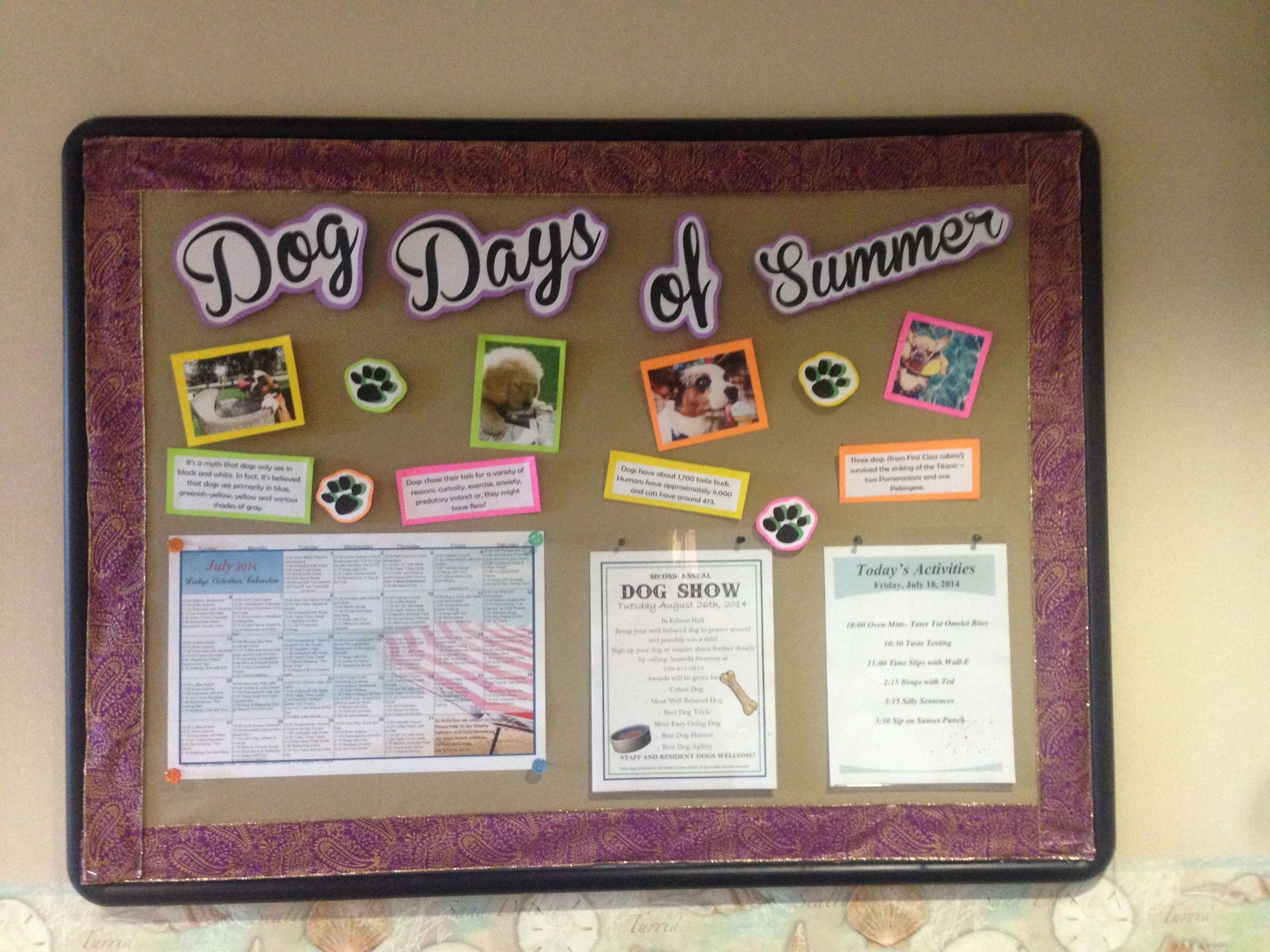 August Themes For Adults
 Nursing Home Bulletin Board idea ALF SNF Memory Care
