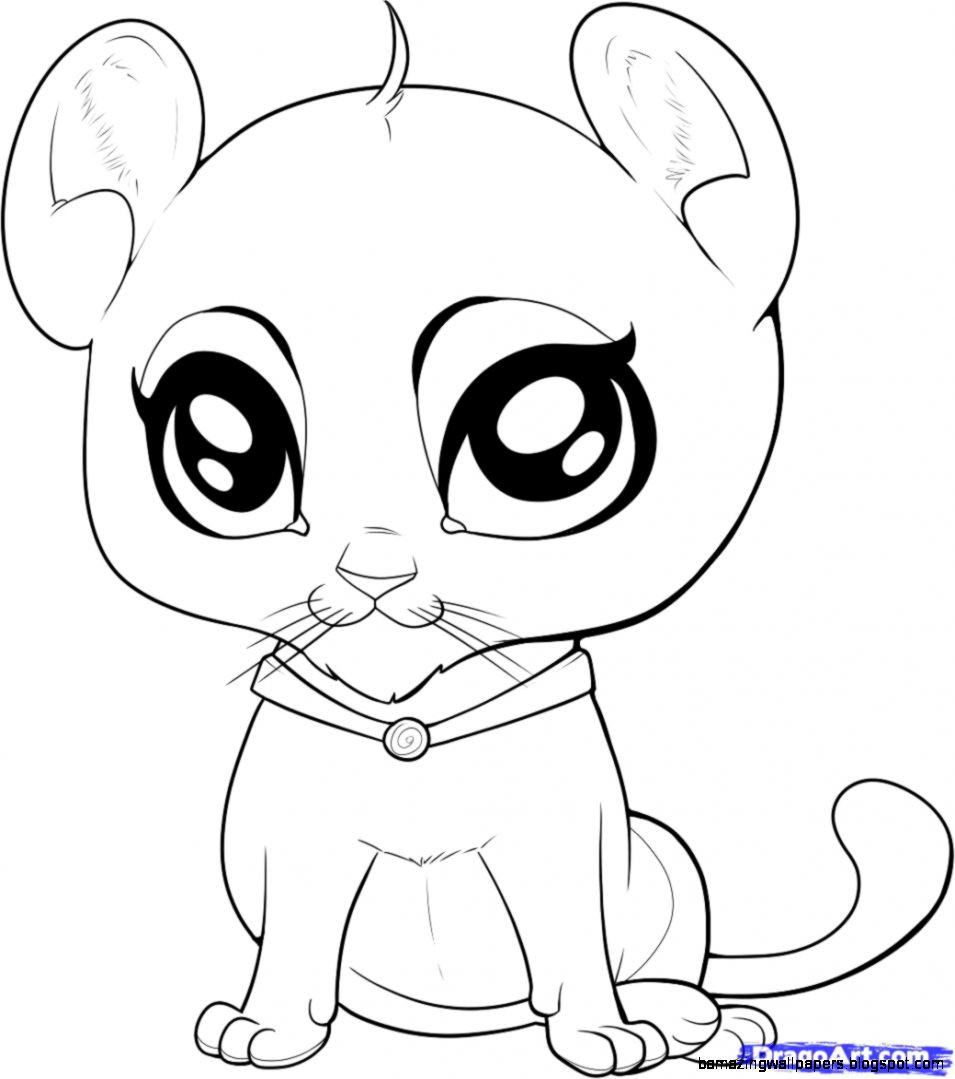 Baby Animal Coloring Page
 Baby Animal Drawings For Kids