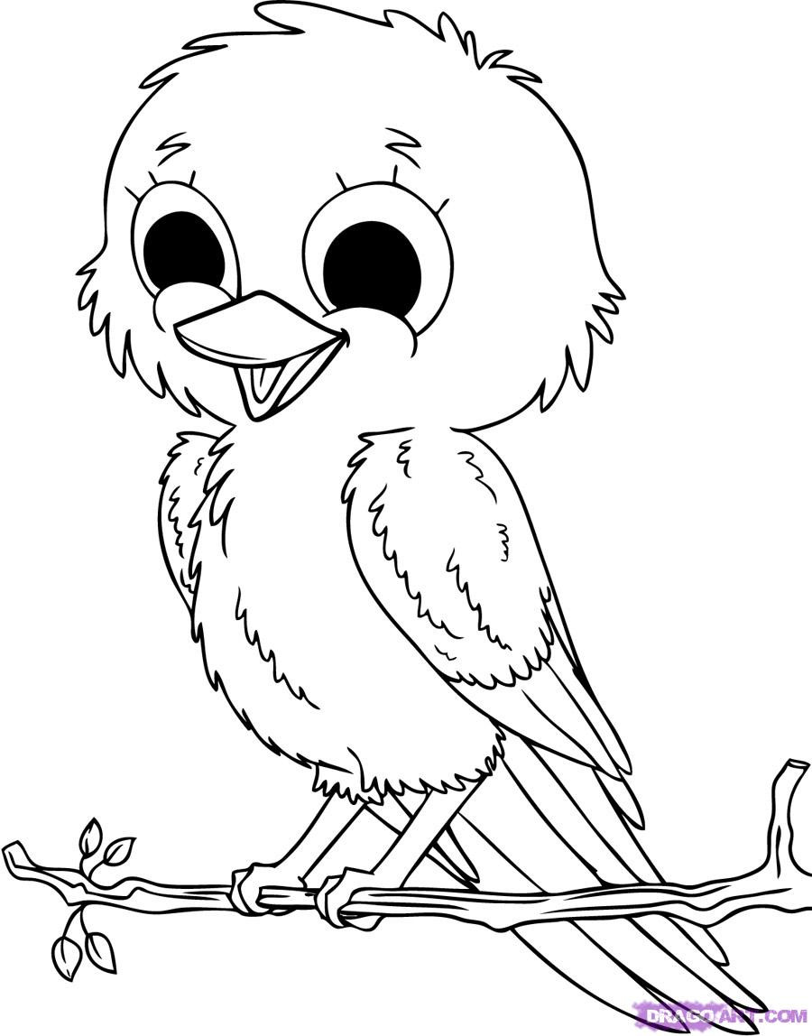Baby Animal Coloring Page
 Baby Animals Coloring Pages To Kids