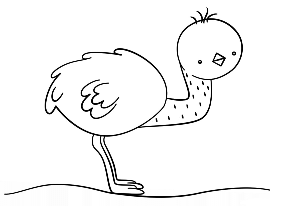 Baby Animal Coloring Page
 Cute Animal Coloring Pages Best Coloring Pages For Kids