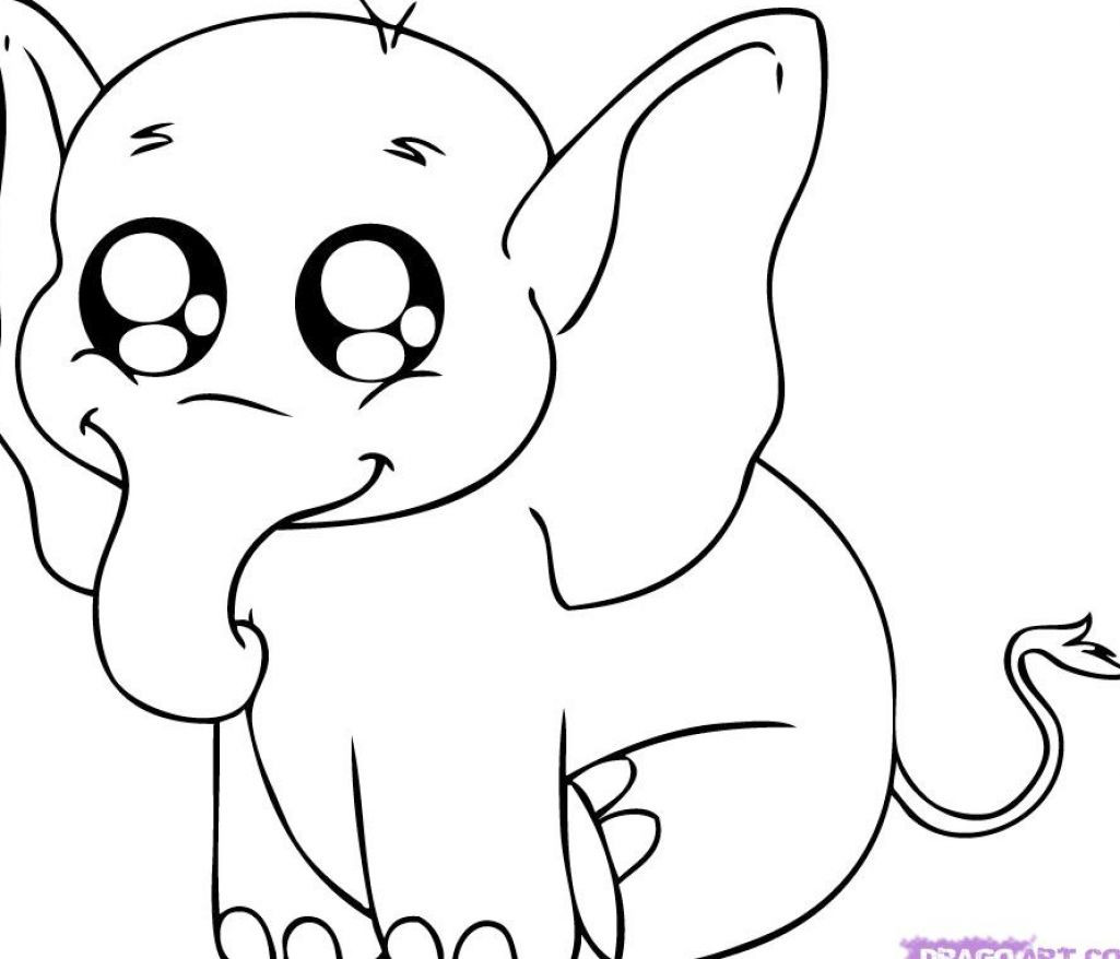 Baby Animal Coloring Page
 Printable animal coloring pages 13 Sheets