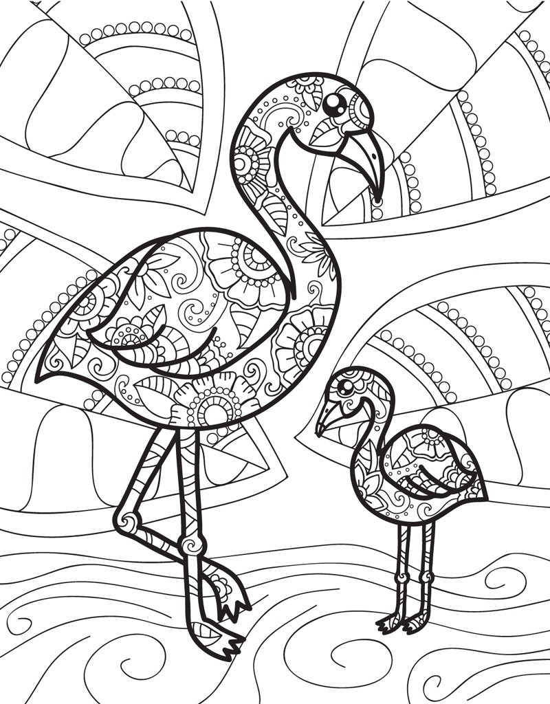 Baby Animal Coloring Page
 Zendoodle Coloring Baby Animals Jeanette Wummel