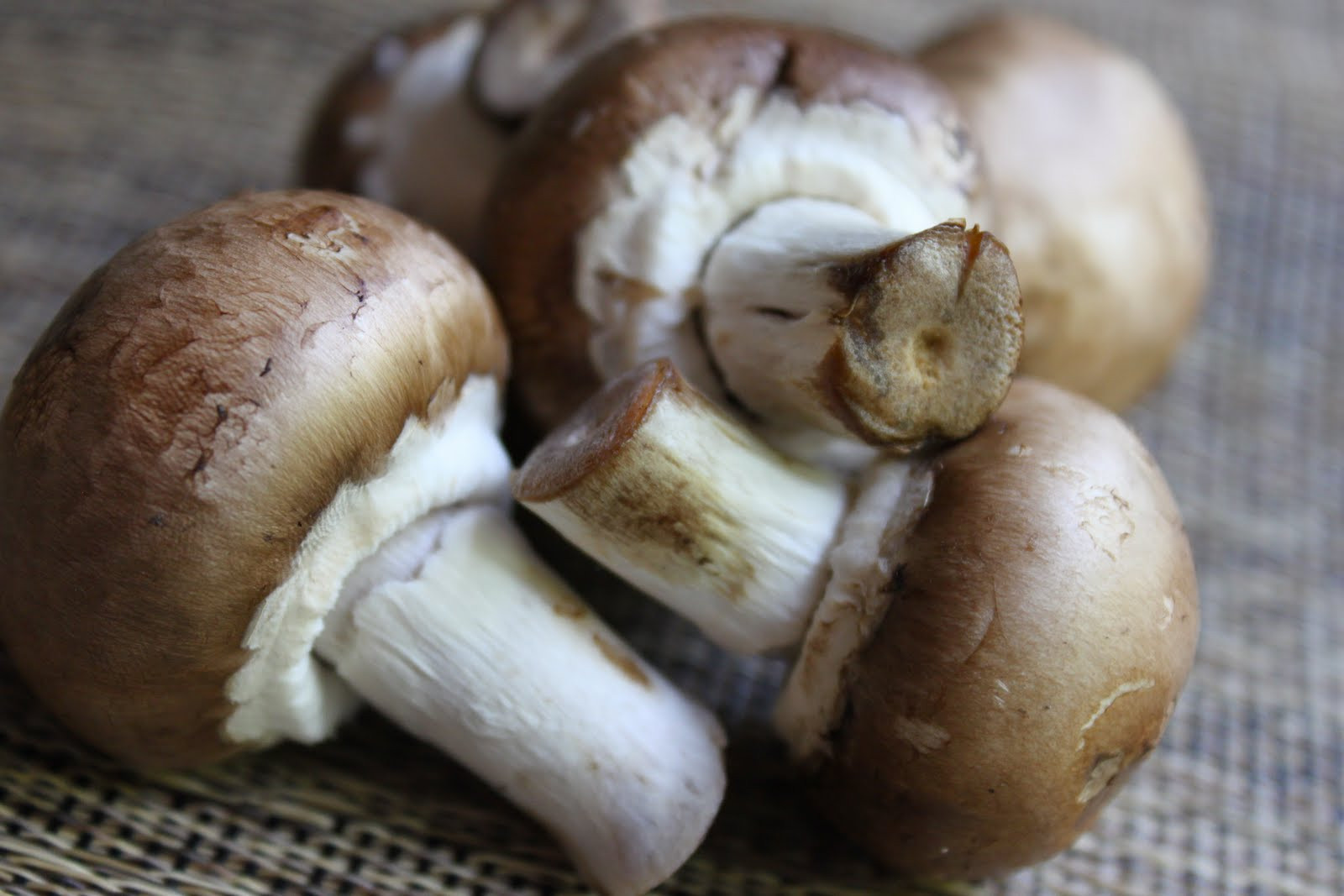 Baby Bella Mushrooms
 mushroom