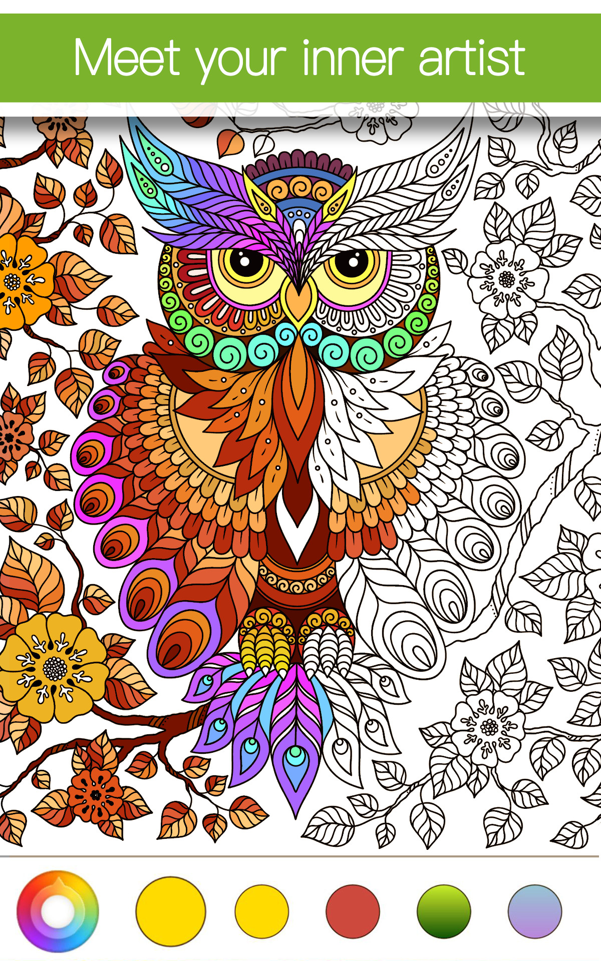 Baby Coloring App
 Coloring Apps for Adults Premium Amazon Appstore