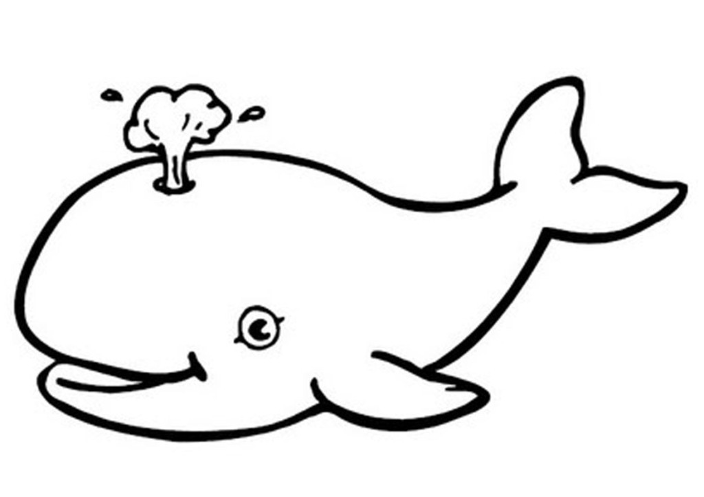 Baby Dolphin Coloring Pages
 Baby Dolphin Coloring Pages