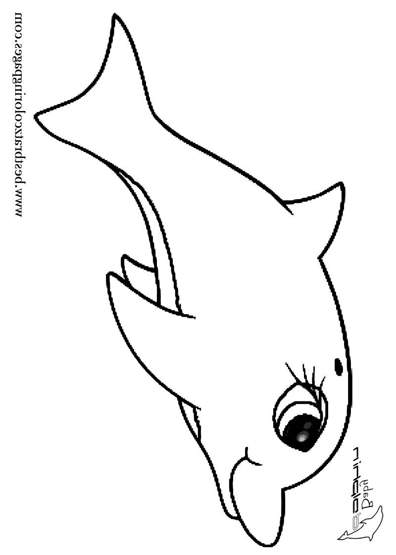 Baby Dolphin Coloring Pages
 Adorable Narwhal Coloring Page