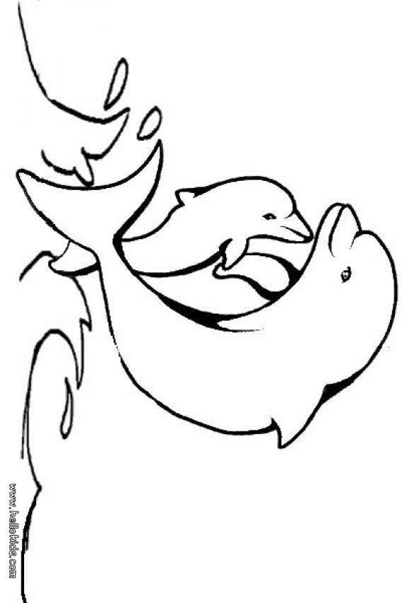 Baby Dolphin Coloring Pages
 Baby dolphin coloring pages Hellokids