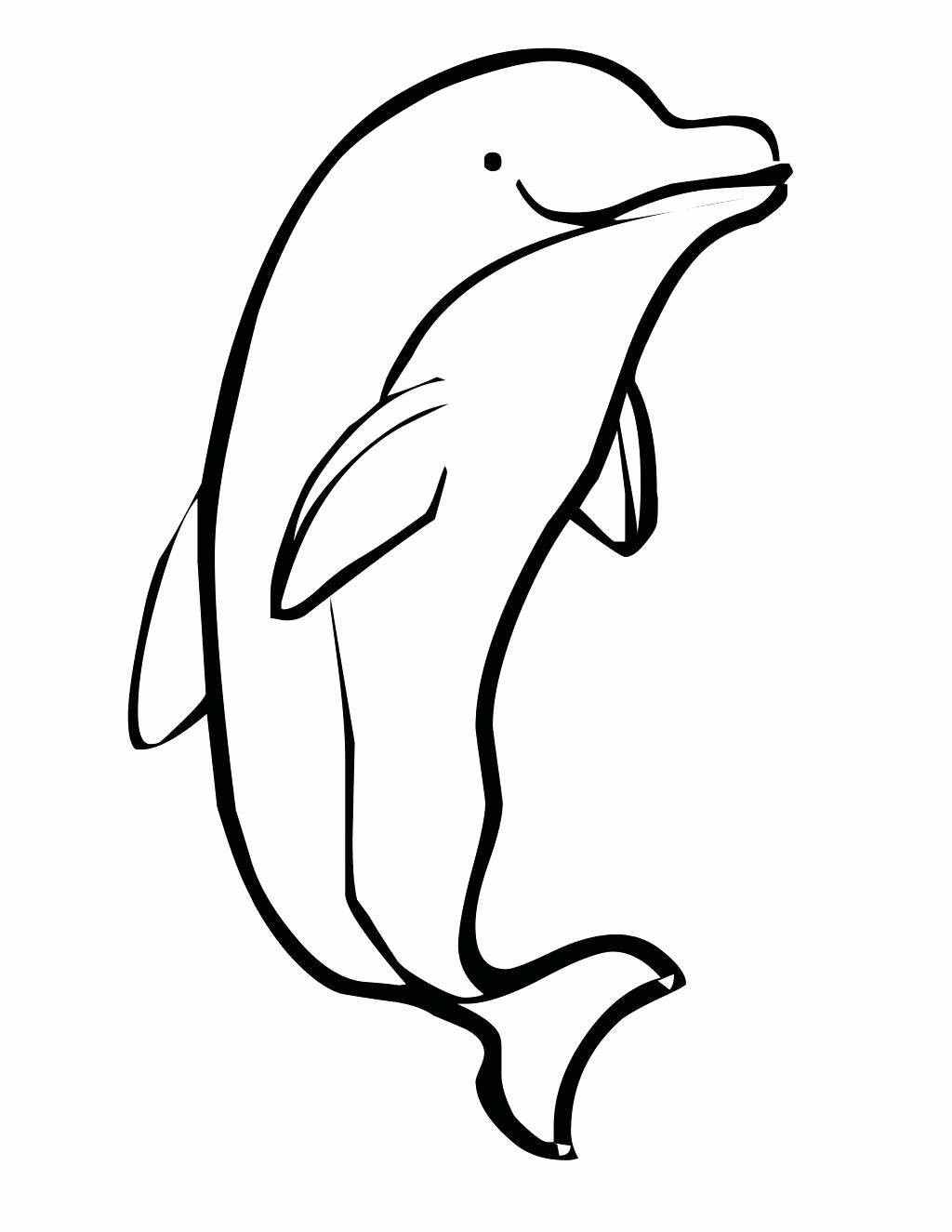 Baby Dolphin Coloring Pages
 Cute Baby Dolphin Coloring Pages at GetColorings