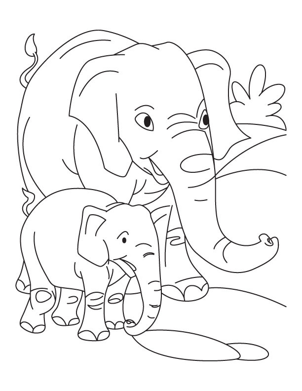Baby Elephant Coloring Pages
 Elephant with Baby Elephant coloring pages