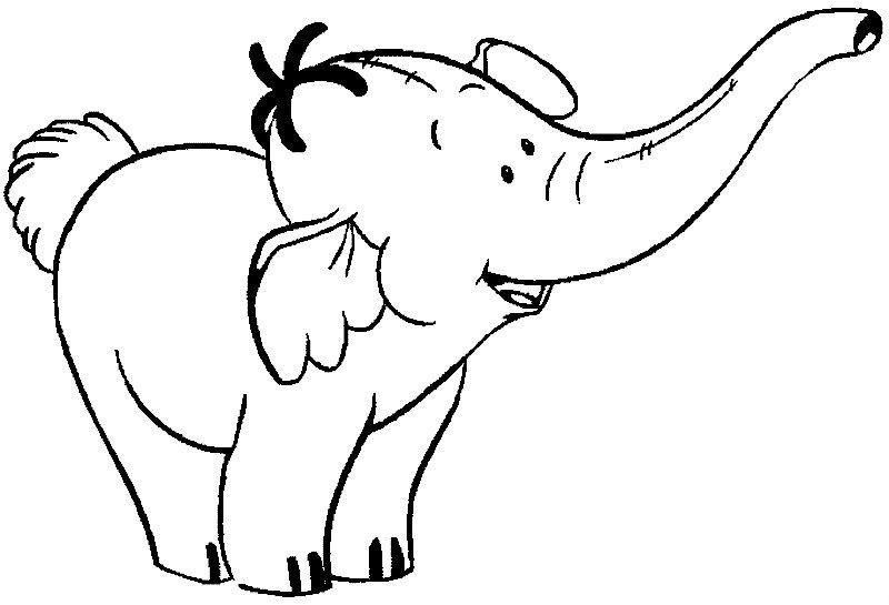 Baby Elephant Coloring Pages
 13 baby elephant coloring page to print Print Color Craft