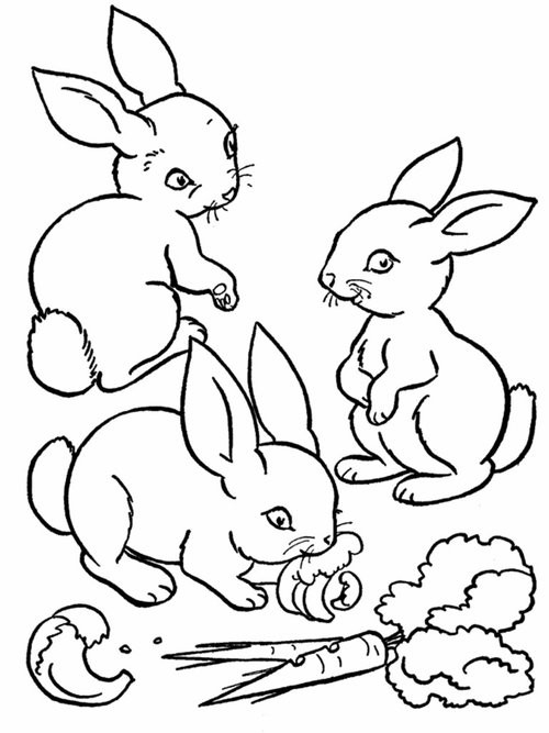 Baby Farm Animals Coloring Pages
 Baby Farm Animals Coloring Pages For Kids Disney