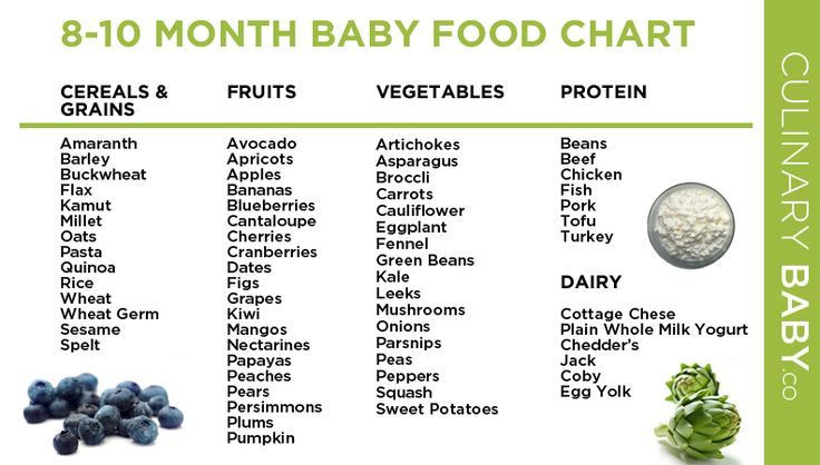 Baby Food Recipes 10 Months
 8 to 10 month baby food chart dishes