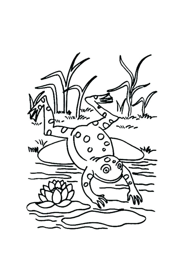 Baby Frog Coloring Pages
 Frog Coloring Pages Printable