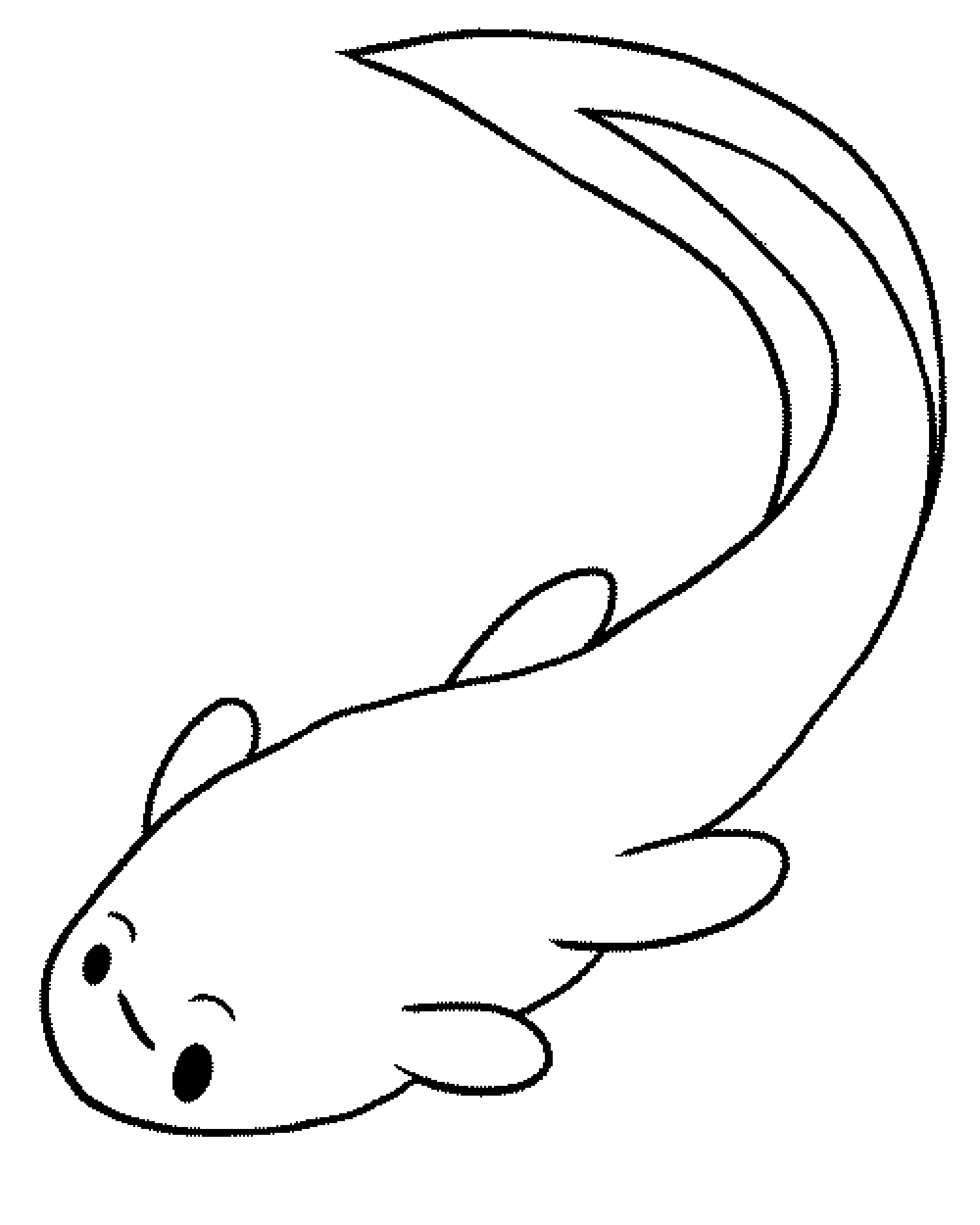 Baby Frog Coloring Pages
 coloring page of a baby frog