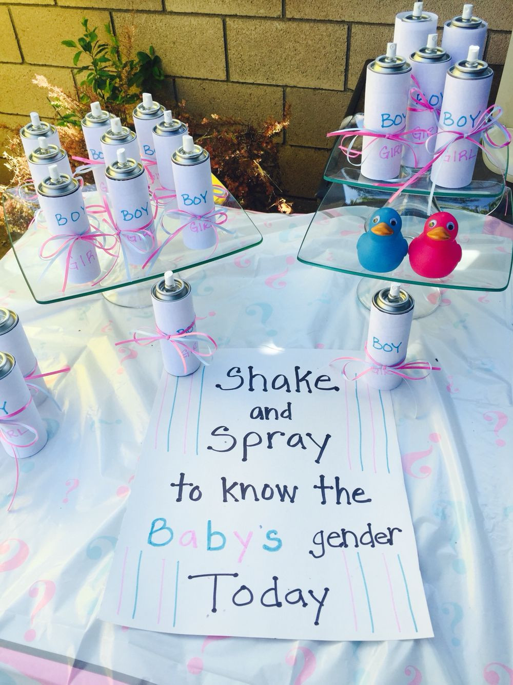 Baby Gender Reveal Party Ideas Pinterest
 Gender reveal sillystring Party ideas
