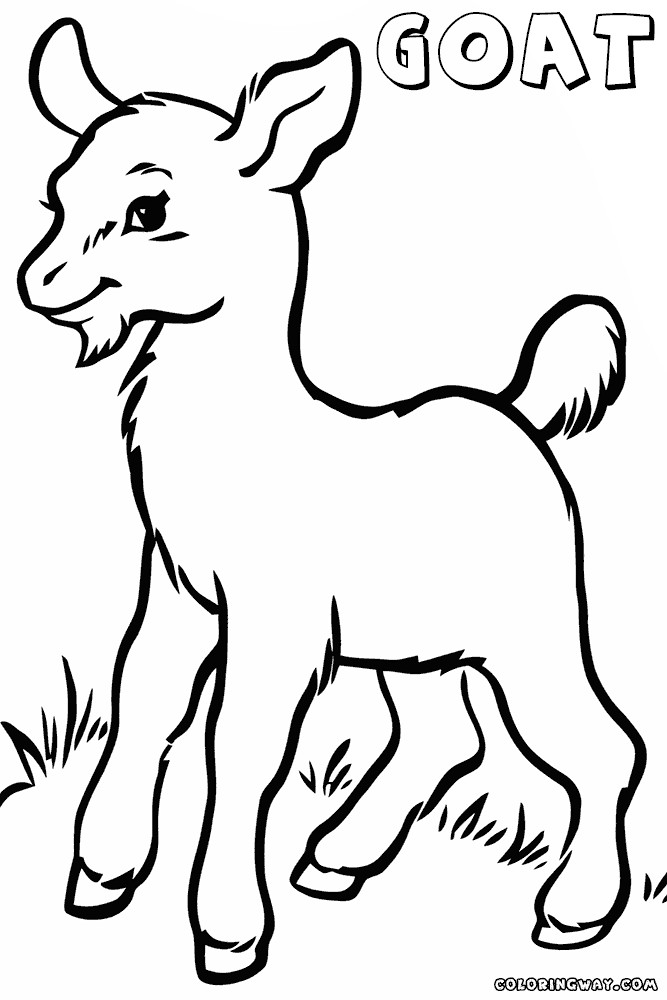 Baby Goat Coloring Pages
 Goat coloring pages