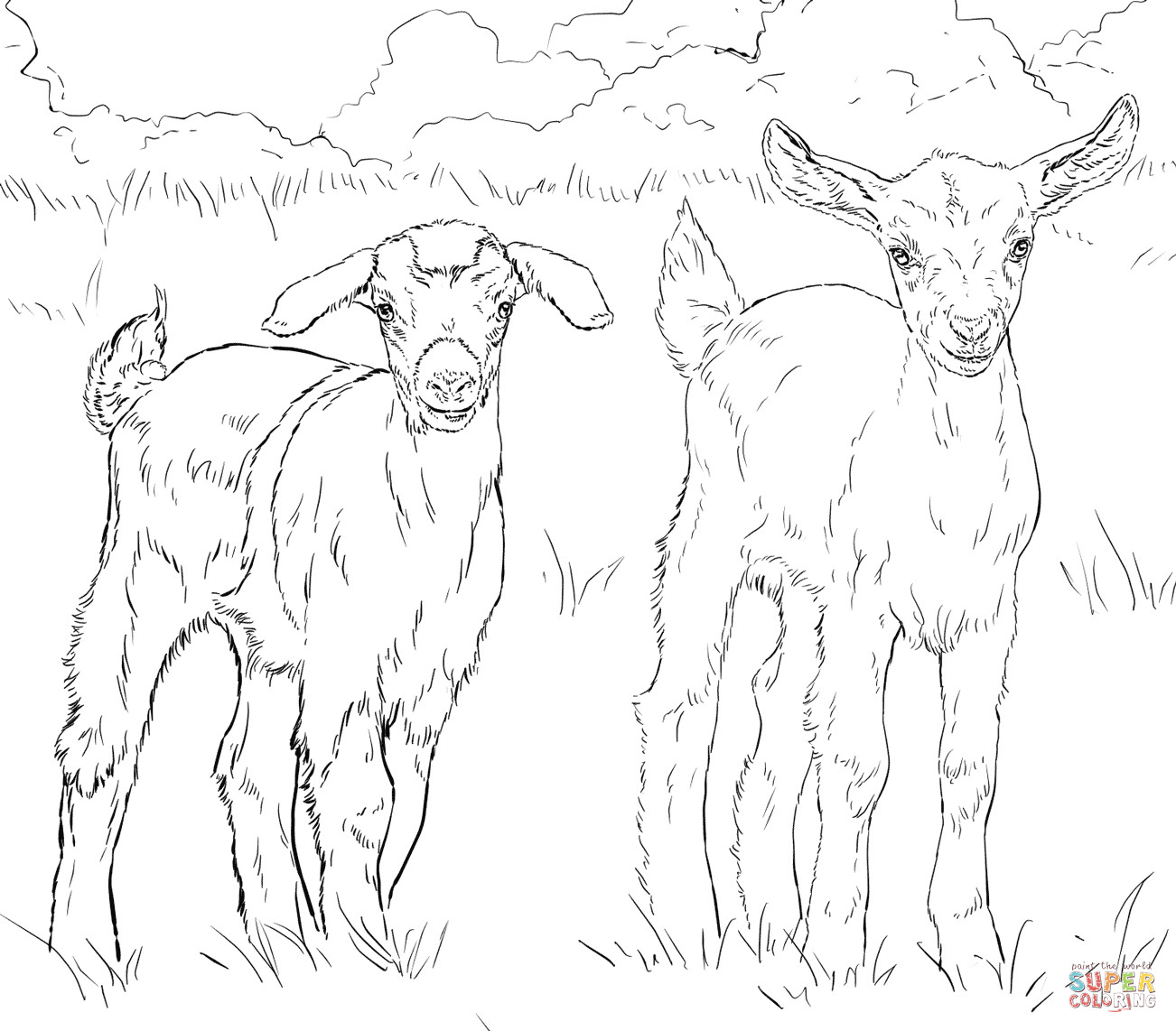 Baby Goat Coloring Pages
 Baby Goats coloring page