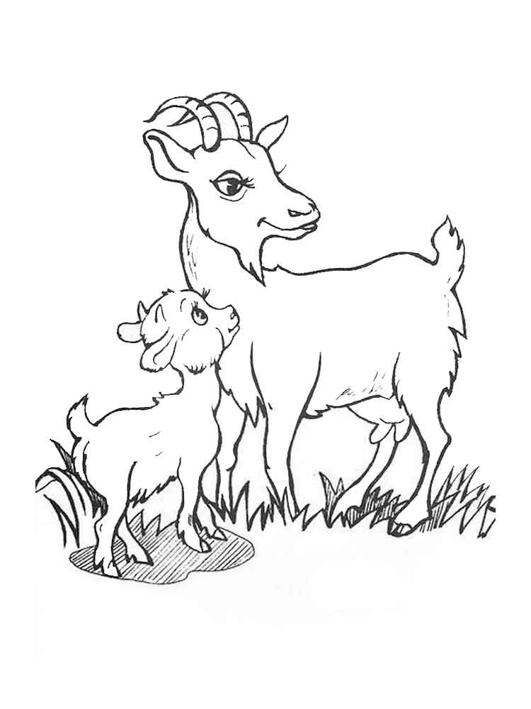 Baby Goat Coloring Pages
 Goat coloring pages Download and print goat coloring pages