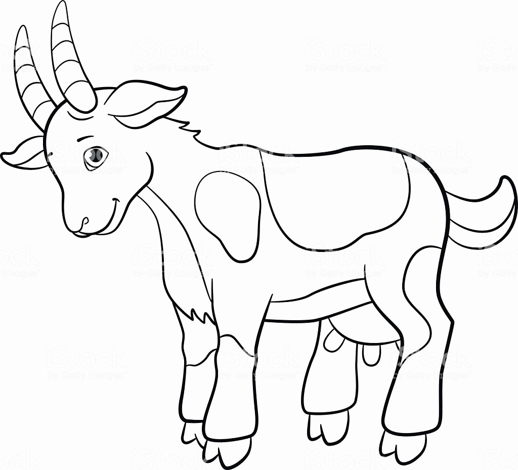 Baby Goat Coloring Pages
 Mountain Goat Drawing at GetDrawings