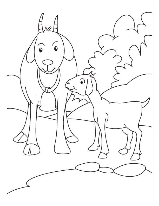 Baby Goat Coloring Pages
 Boer Goat Coloring Pages at GetColorings
