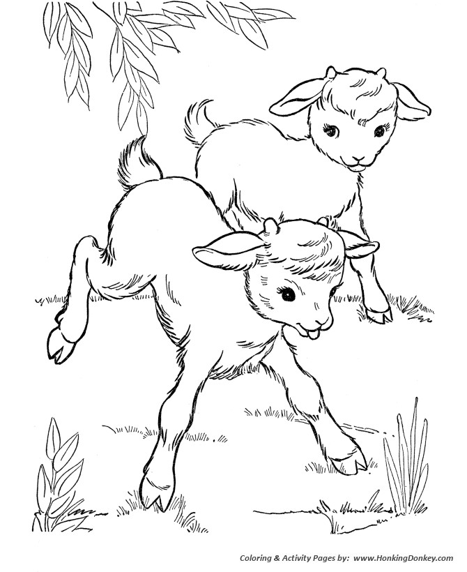 Baby Goat Coloring Pages
 Farm Animal Coloring Pages
