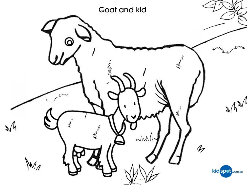Baby Goat Coloring Pages
 Baby Goat Coloring Pages at GetColorings