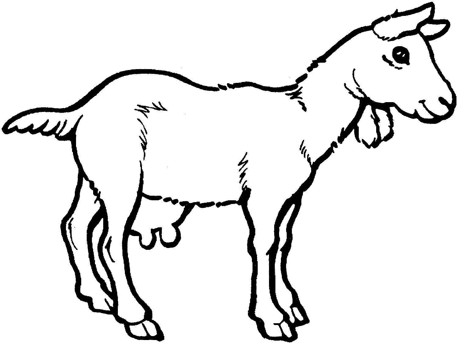 Baby Goat Coloring Pages
 Free Printable Goat Coloring Pages For Kids