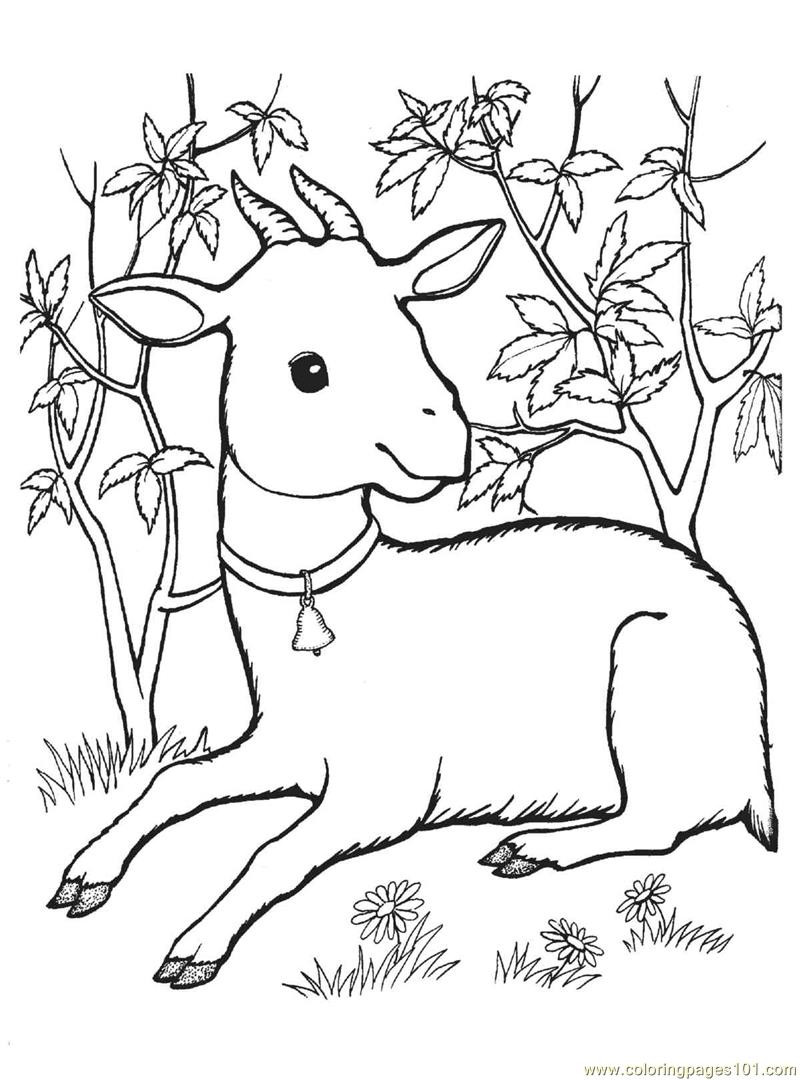 Baby Goat Coloring Pages
 Coloring Pages Goat Animals Goat free printable