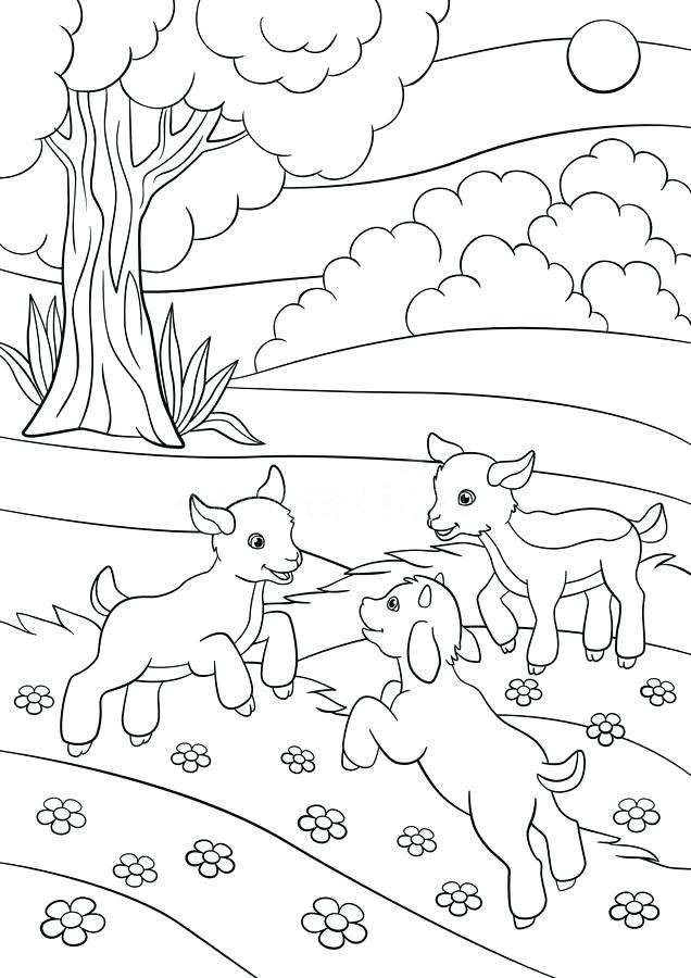 Baby Goat Coloring Pages
 Baby Goat Coloring Pages at GetColorings